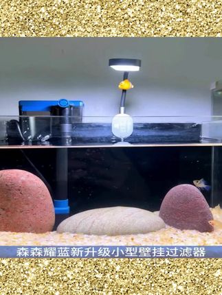 森森鱼缸过滤器壁挂过滤桶外置小型静音三合一增氧循环净水低水位#鱼缸用品 #鱼缸清洁 #水族好物推荐