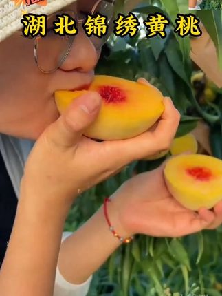 湖北锦绣黄桃新鲜水果当季整箱5斤脆甜时令毛桃非蒙阴炎陵大桃子 #锦绣 #黄桃 #好物推荐🔥
