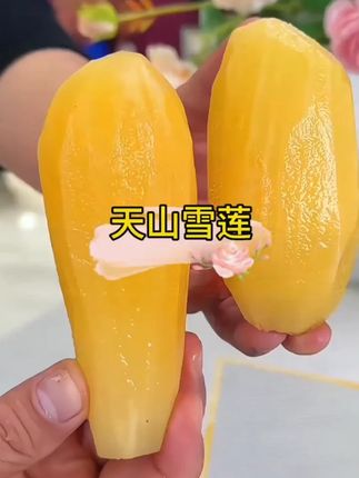 #雪莲果 #云南天山雪莲果 #当季水果 #产地直发