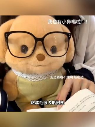 森贝儿贵宾犬毛绒公仔,可爱到爆,女生生日礼物首选! #女生生日礼物 #可爱布娃娃 #森贝儿毛绒玩具 #贵宾犬公仔 #睡觉抱枕