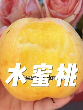 正宗阳山水蜜桃 超大水分超足 #新鲜采摘 #优质水果 #应季水果 #水蜜桃 #阳山水蜜桃