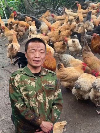 养鸡不用慌,因为我有温立康 #生态散养土鸡 #抖音助农 #养殖