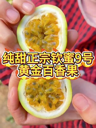 #钦蜜9号百香果 #百香果 #水果 #九甜一酸