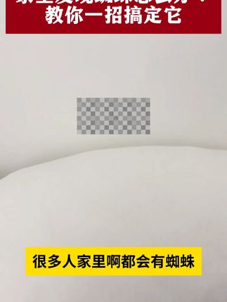 蜘蛛怎么消灭呢?怎么去除蜘蛛呢?#除虫小妙招 #蜘蛛