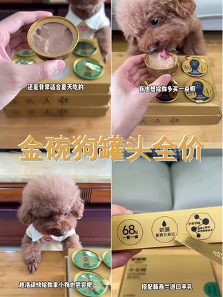 多特思狗罐头小金碗犬主食罐鸭肉梨狗粮拌饭湿粮含钙全价狗狗主粮 #湿粮 #新手养狗 #多特思金饭碗 #狗狗 #抖in萌宠计划