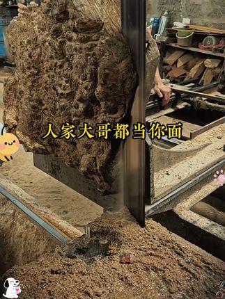 千万别等孩子撞破了头再给他看《漫画版天机》! #为人处事 #孩子教育 #家庭教育