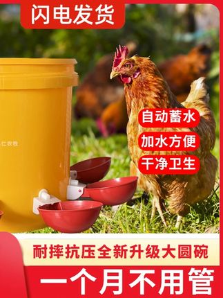 #养鸡#养殖技术#鸡鸭鹅养殖#三农养殖#家禽自动饮水器