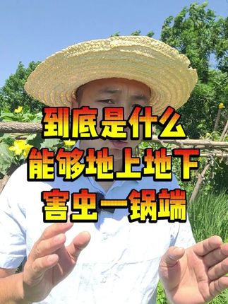 地上地下害虫打不住,这个配方一定要试试 #种植小技巧 #病虫害防治 #抖音助农 #三农