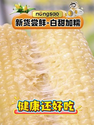 喜欢吃玉米的姐妹一定要去试试这个白甜糯玉米, 甜糯交织的,巨好吃#粗粮 #甜糯玉米营养零食 #好吃的玉米推荐 #低脂 #农产品