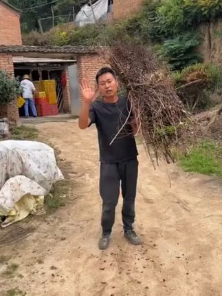 #优质农产品 #花牛苹果
