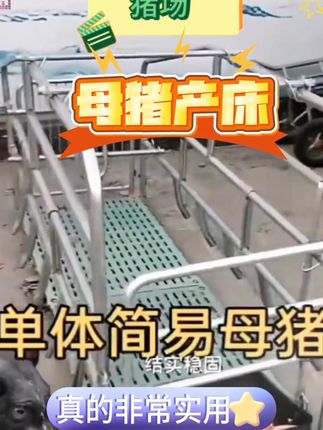 产床猪场设备保育工具加厚母猪产床猪场用品母猪产床养殖设备 #母猪产床 #养殖设备 #保育工具