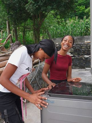 农村媳妇菲利丝