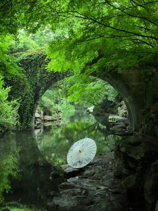 光明居然出了大白兔牛奶,真的一口惊艳~一口下去就像多颗大白兔奶糖在嘴里爆汁,奶香浓郁又丝滑.新品上新才有这价,没喝过的你一定要尝尝#哇哦好喝爆了 ~~ #大白兔 #干了这瓶奶 #大白兔牛奶 #牛奶推荐