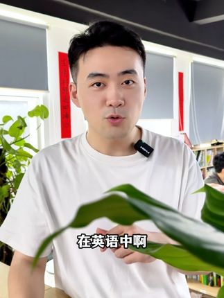 Wifi密码八个6用英语怎么说?#英语语法 #小初语法提前学 #知识分享 #开心
