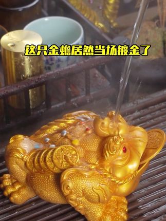 茶桌上没这个?难怪生意差 #金蟾