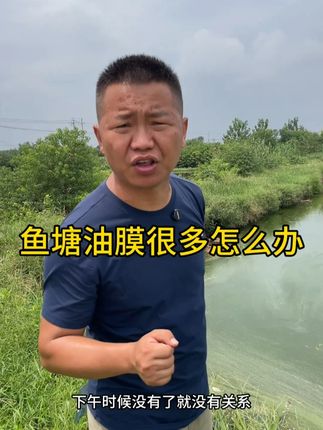鱼塘油膜多 应该怎么办? 为什么鱼塘油膜多对于影响很大?#鱼塘油膜 #鱼塘泡沫