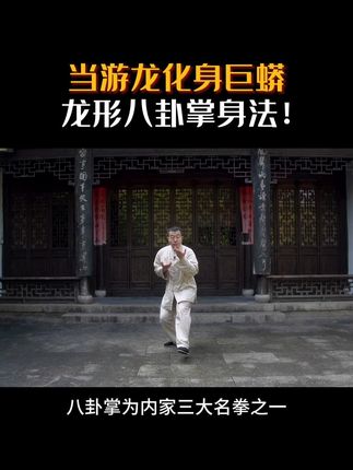 龙形八卦掌线上视频课程教学,点击左下角链接,可查看详情。#功夫#武术#八卦掌