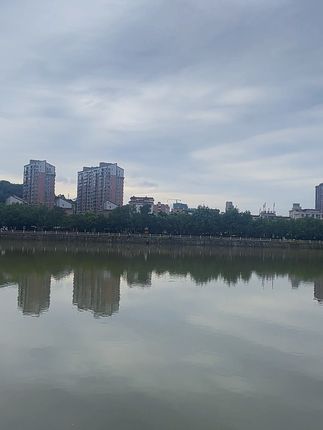 钛钢耳饰 3-10公分经典款不掉色圆圈大耳圈素欧美百搭时尚大圈圈