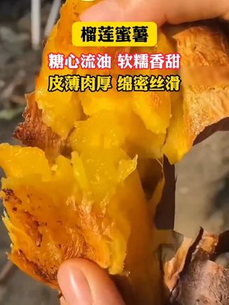 这个榴莲蜜薯真的绝了,软糯香甜如榴莲般丝滑,一口下去甜到心底!#榴莲蜜薯 #蜜薯 #妈呀太香了 #软糯香甜 #好吃到停不下来