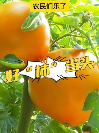 谁懂啊家人们,不愧是得力家的小绿杆#铅笔 ,书写清晰顺滑流畅,升级款石墨铅芯,还不容易断铅,推荐!#得力文具 #黑木铅笔 #学习用品
