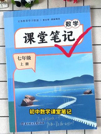 数学书上有不会的地方,翻开这本书就能找到讲解 #初中数学 #教辅推荐 #课堂笔记 #重难点 #学习