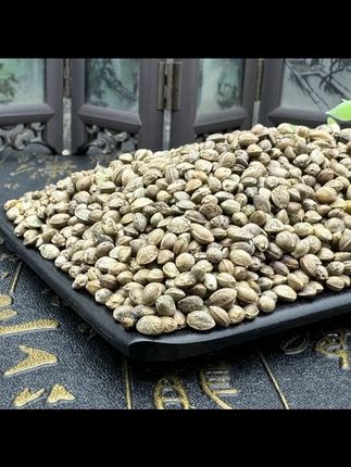 火麻籽大颗粒火麻子鸟粮鹦鹉鸽粮巴马火麻子仁籽火麻仁籽子#好物推荐🔥 #好产品一起分享 #超便宜超划算