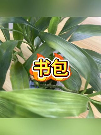 #儿童减负背包 #学生书包推荐 #书包