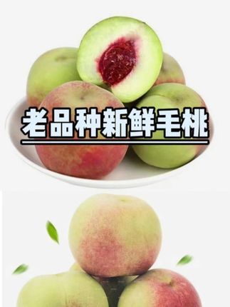 心心念念的山东青皮脆蜜桃终于买到了!脆甜如蜜 都是现摘现发~ #老品种毛桃 #青州蜜桃 #水果 #桃子熟了 #新鲜应季水果