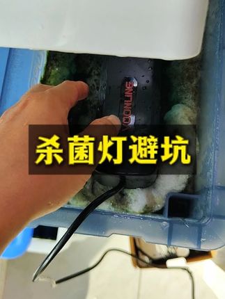 绿水绿藻不知道怎么处理 鱼缸杀菌灯安排上! #养鱼日记 #水族 #养鱼人