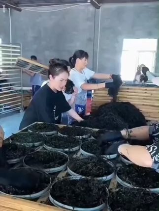 【当季新菜】霞浦坛紫菜干货紫菜蛋花虾皮汤 开水冲泡干货#霞浦坛紫菜干货 #紫菜蛋花虾皮汤开水冲泡干货 #紫菜 #紫菜推荐 #紫菜分享