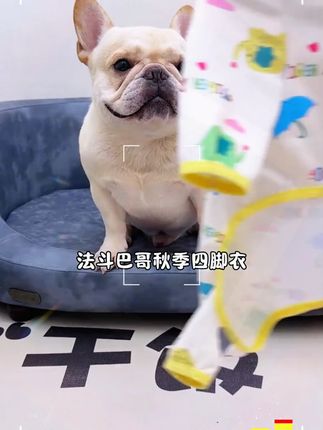 奶呼呼的四脚娃娃衣,穿上也太可爱啦#法斗#巴哥 #狗狗衣服