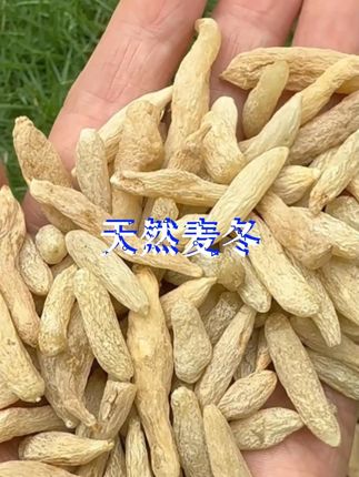 #麦冬 #源头好货 #无限回购的宝藏单品 #大自然的馈赠