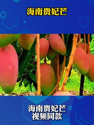 长袖睡衣,睡衣两件套,睡衣家居服