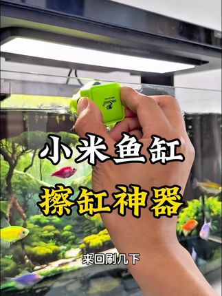 鱼缸刷迷你强力磁力刷小型绿色擦玻璃缸器清洗无死角清洁除藻神器 #强力磁力 #除藻神器 #水族好物推荐 #鱼缸清洁 #鱼缸用品