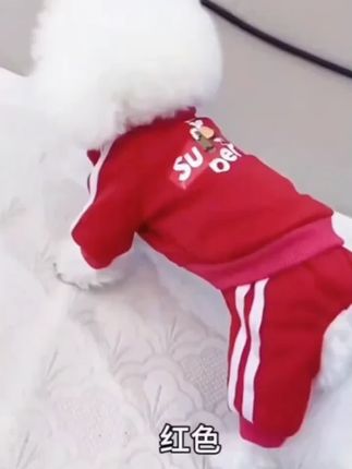 DADAGOU/哒哒狗狗狗衣服秋冬新款滑板小子卫衣泰迪宠物加绒保暖#狗狗衣服 #秋冬卫衣 #宠物保暖 #DADAGOU #滑板小子卫衣