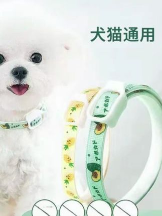 狗狗项圈香茅精油安全猫咪颈圈幼猫脖圈宠物脖圈中小型犬小猫项圈#狗狗项圈 #猫咪颈圈 #香茅精油项圈 #项圈 #驱虫项圈