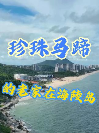 珍珠马蹄要藏不住了!它的老家竟是海陵岛! #海陵岛 #特产 #珍珠马蹄 #抖音助农 #椰子鸡火锅