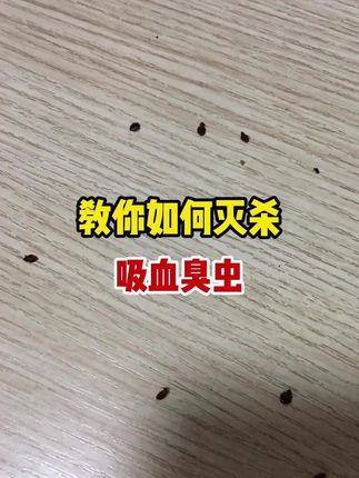 床板虫窝一锅端!喷洒三天清空臭虫 #臭虫 #杀虫剂 #杀虫小妙招 #好物推荐
