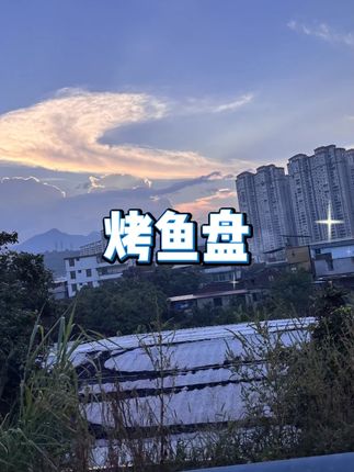 不锈钢大号烤鱼盘 #家庭烧烤派对 #烤箱烘焙盘 #多功能烤盘