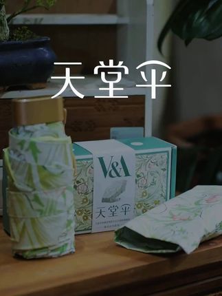 天堂伞VA博物馆联名款便携防晒遮阳伞五折小伞薄款折叠晴雨伞两用#天堂伞 #雨伞 #雨伞推荐 #遮阳伞