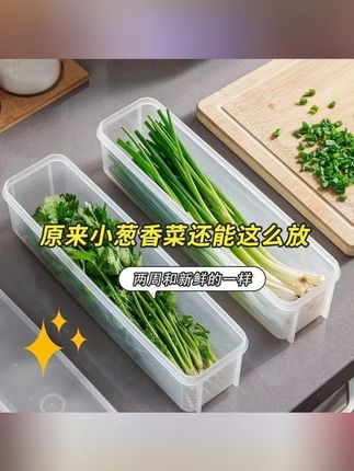 香菜小葱收纳盒冰箱芫荽整根保鲜神器加厚款面条保鲜密封 #收纳盒 #收纳盒推荐 #食物保鲜 #厨房必备神器 #密封