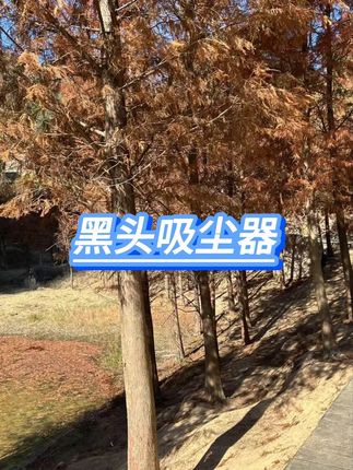 #祛黑头三件套 #收缩毛孔祛黑头 #深层清洁黑头 #学生党好物推荐