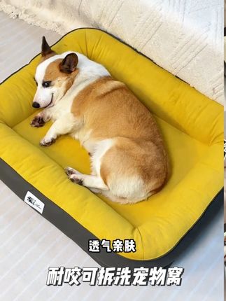 #狗窝#猫窝#萌宠好物#四季狗窝#耐抓狗窝@DOU+上热门@DOU+小助手