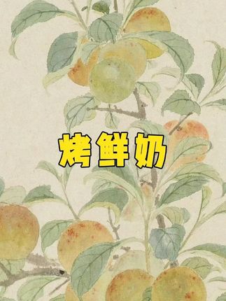 憨豆熊_内蒙草原烤鲜奶108g高钙高蛋白质儿童零食内蒙特产