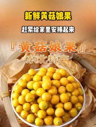 一口一个根本停不下来!小孩孕妈妈都可以吃!#菇娘果  #水果  #吃货  #好吃到停不下来  #大人小孩都爱吃 就这个东北菇娘果90%的人肯定都没吃过~这价一大斤!超新鲜!直接剥开就能吃!每一个都是个大肉厚!汁水充足!咬下去一口爆汁!吃起来脆甜脆甜的!