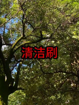 车载玻璃清洁除雾刷 #汽车清洁好物 #车内实用工具 #出行必备神器