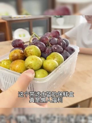 惠子知家冰箱双层保鲜盒 #家用好物 #蔬菜水果收纳 #冰箱收纳盒 #家居收纳 #惠子知家