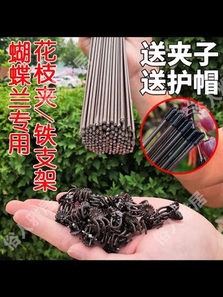 这也太实用了吧 只要你养植物就离不开他 #蝴蝶兰支撑杆 #支撑杆 #养花小知识 #花卉绿植 #我的花花草草 ???