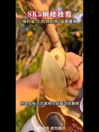 修枝剪