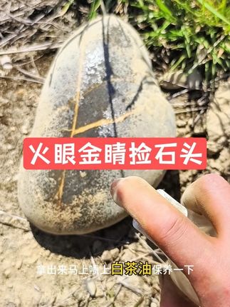 火眼金睛捡石头 火眼金睛捡石头#纯天然奇石 #河边捡石头 #石来运转 #捡石 #奇石